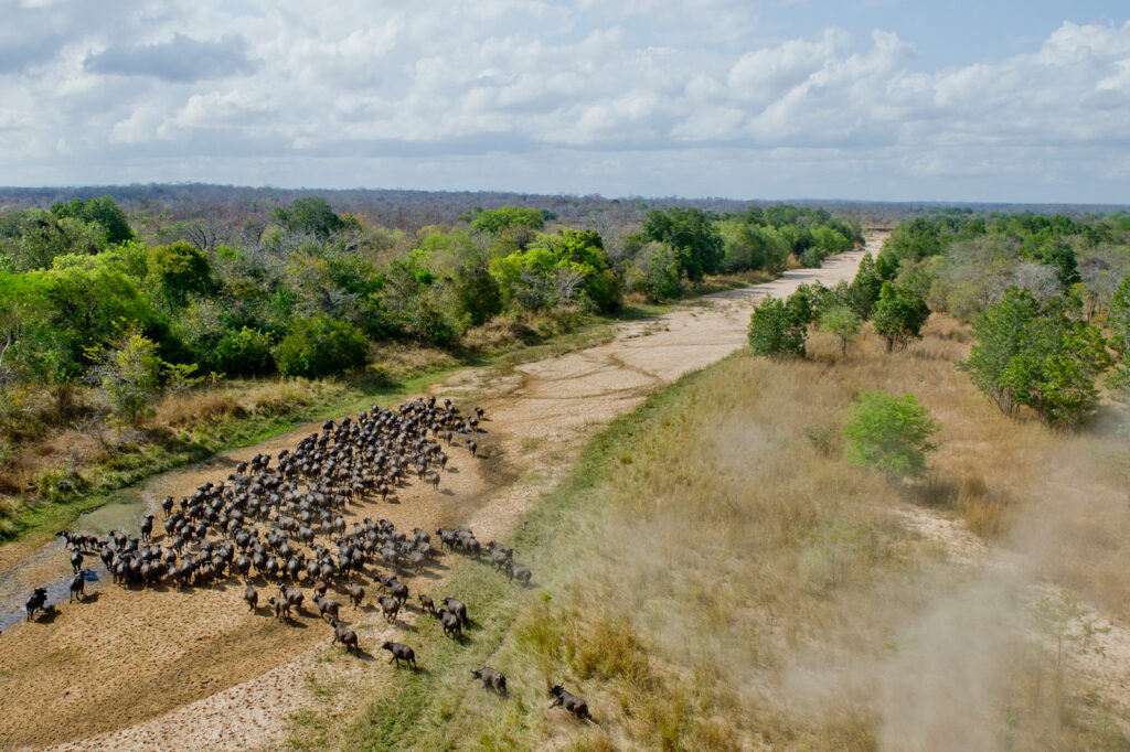 Tanzania