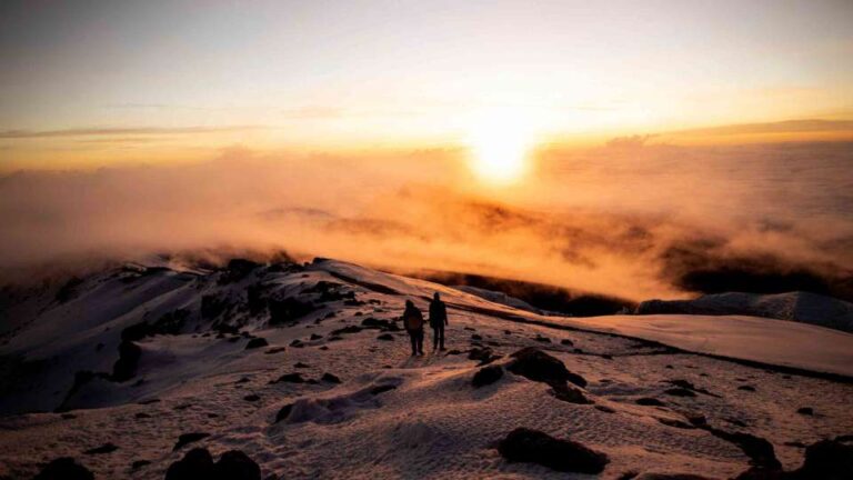 7 Days Kilimanjaro Treks Via Lemosho Route