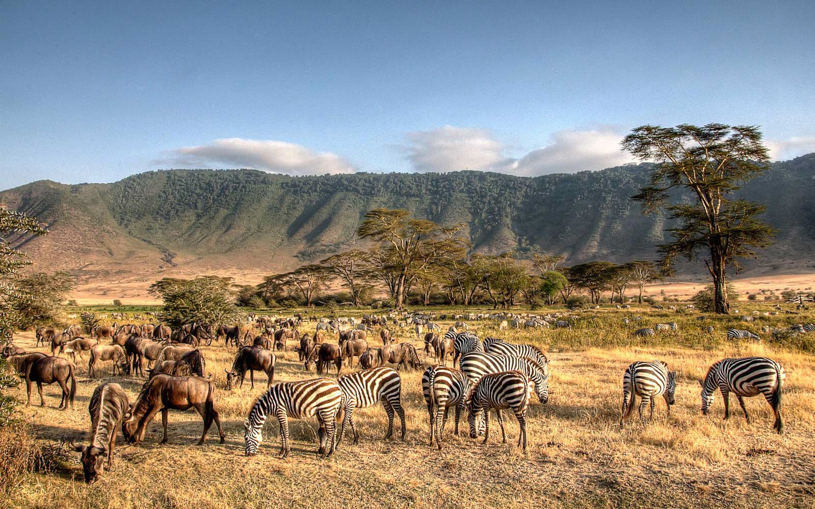 Ngorongoro crater