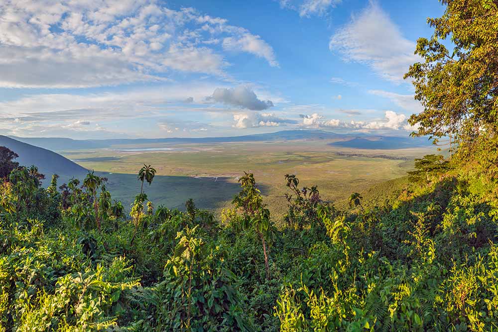 Tanzania